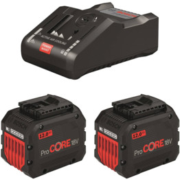 GBA 18V ProCORE Starter Set 2x 12.0Ah Batteries & GAL 18 V-160 C Charger 1 600 A01 6GZ
